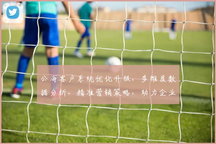 公海客户系统优化升级，多维度数据分析，精准营销策略，助力企业腾飞，三重福利大放送