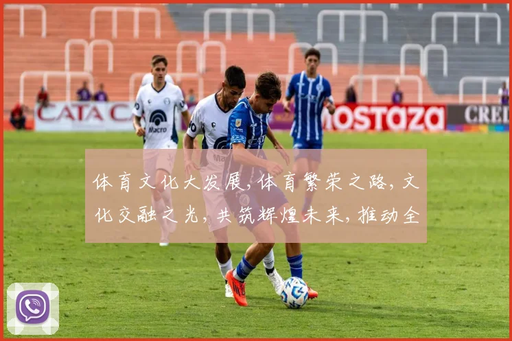 体育文化大发展,体育繁荣之路,文化交融之光,共筑辉煌未来,推动全民健身。